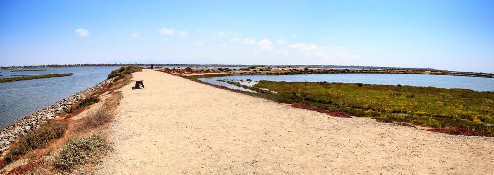 Path along the peaceful and tranquil marsh of Bolsa Chica wetlands in Huntington Beach, California, USA