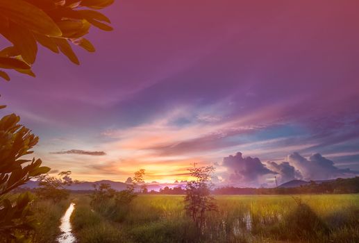 Colorful sky over rice field with sunset behind mountain,Thailand