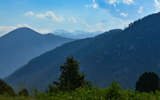 Forested area and rising mountain ranges