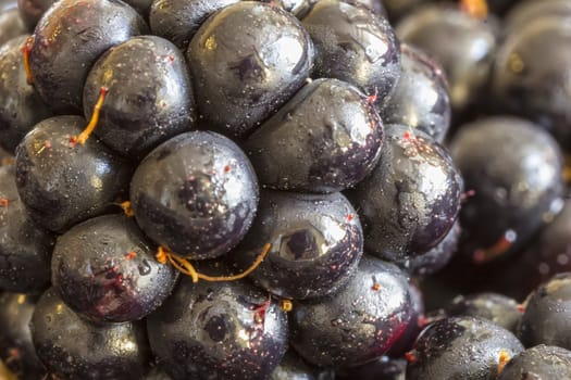 Close up of fresh healthy blackberries fruits