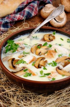 Delicate soup puree from champignons and chicken with herbs