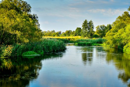 Photo with a river on a clear summer day, landscape.