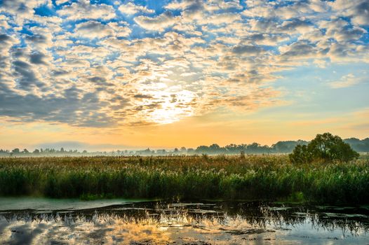 Photo with a sunny summer sunrise over the river.