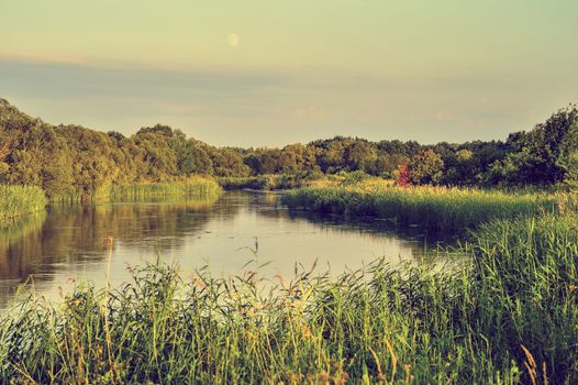 Photo with a river on a clear summer day, landscape.