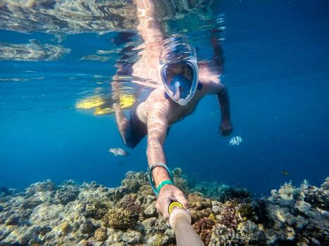 Snorkel swim in underwater exotic tropics paradise with fish and coral reef, beautiful view of tropical sea. Egypt, Marsa Alam. Summer holiday vacation concept