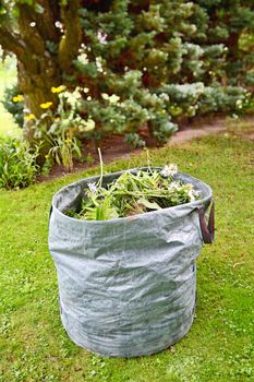 Full garden weed bag with weed and plants in the garden.