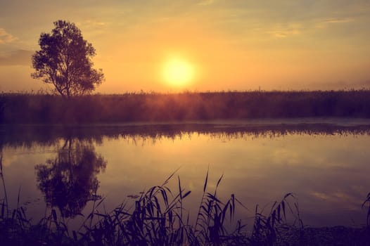 Photo with a summer sunrise by river and tree.