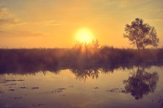 Photo with a summer sunrise by river and tree.