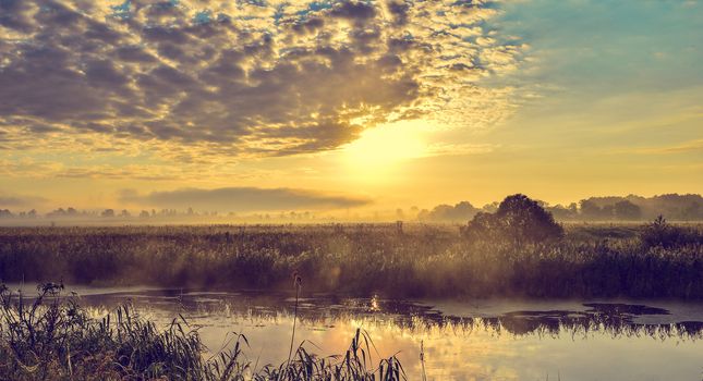 Photo with a sunny summer sunrise over the river.