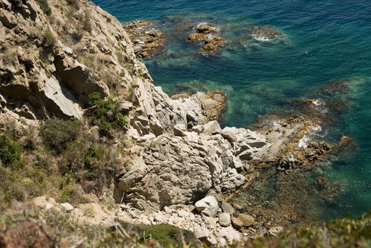 Scenic sea coast landscape with rocks and weeds