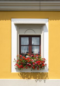 Exterior. Window with red flowers on yellow wall close-up