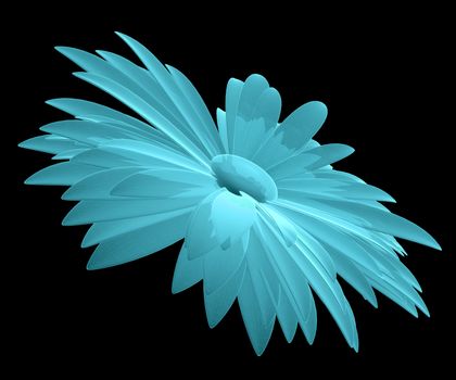 X-Ray Image of Chamomile Flower, isolated on black background. 3D illustration