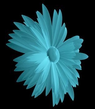 X-Ray Image of Chamomile Flower, isolated on black background. 3D illustration