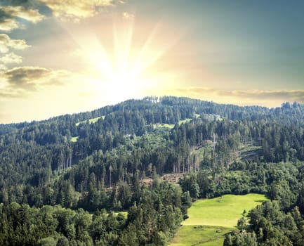 Forest on a hill in the background of a beautiful sunrise or sunset. Beautiful backdrop