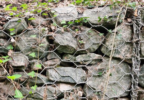 close up of wall of stones held together by metal mesh in forest path; UK