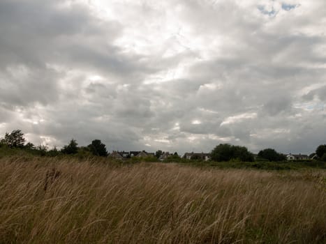 uk sunset over grass field with moody skies and houses and trees; UK