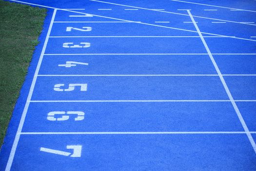 blue athletic court ready for a championship