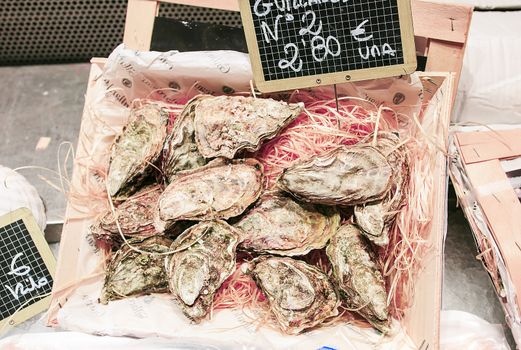 Fresh oysters in a food market of Barcelona