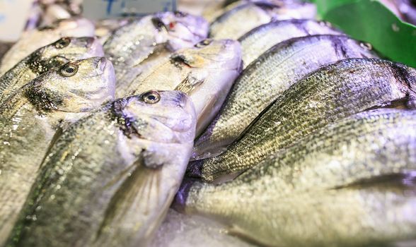 Fresh seafood in a food market of Barcelona