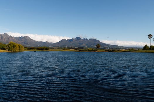 A Stellenboscsh panorama with tipical rows of vines, South Africa