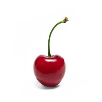 Cherry isolated on white background, one cherry