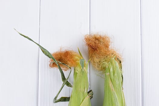 raw Corn on the white wooden background