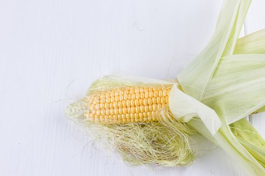 fresh corns on the wooden white background