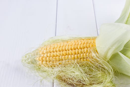 fresh corns on the wooden white background