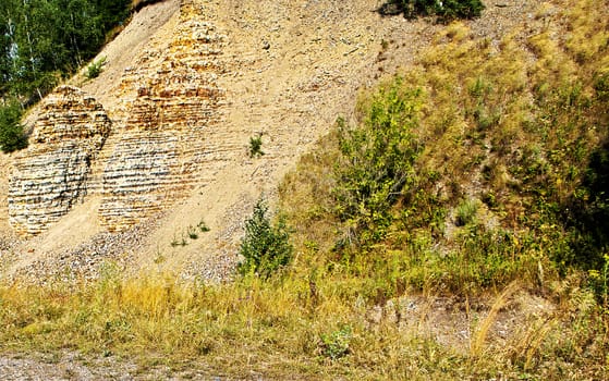 Slope of a small mountain of limestone and plants growing on it on a summer day.