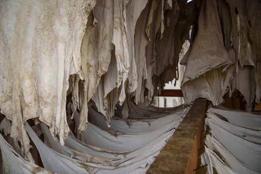 Tannery in the middle of souk in Fez, Morocco. Traditional leather tannery from the 11th century is now biggest tourits attraction in Fes.