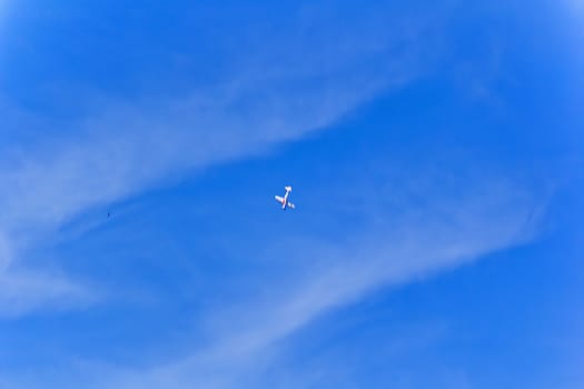 Photo of flying military airplane in blue sky
Photo of flying military airplane in blue sky with bird