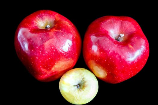 Two big red ripe appetizing apples on black background and one wrinkled green