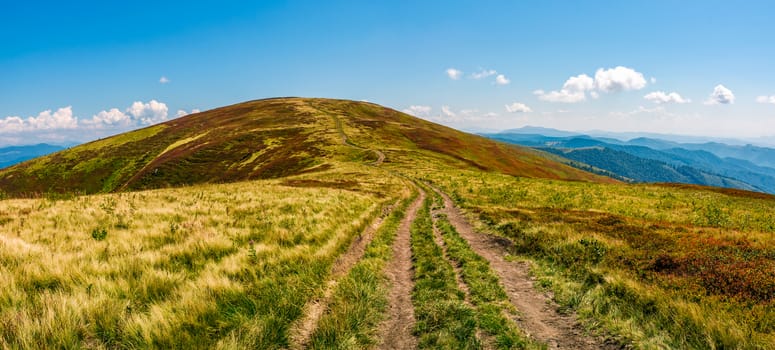 panorama with dirt road through grassy meadow on mountain ridge. beautiful summer landscape in carpathians