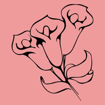 Flower graphic design. floral hand drawn element for decoration and design. Black image.