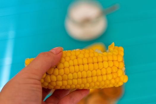woman hand holding cooked corn on blue background