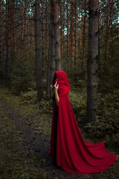 Halloween concept. A witch in red among the pines. Witchcraft and magic. Photo for your design.