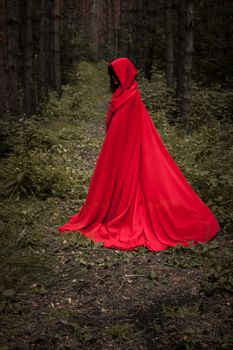 Halloween concept. A witch in a hoodie is red among the forest. Witchcraft and magic. Photo for your design.