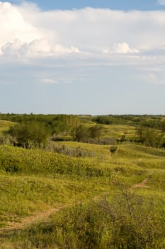 A hiking trail at Cranberry Flats Conservation Area Saskatoon.