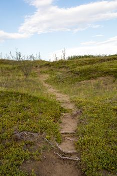 A hiking Trail at Cranberry Flats Conservation Area Saskatoon.