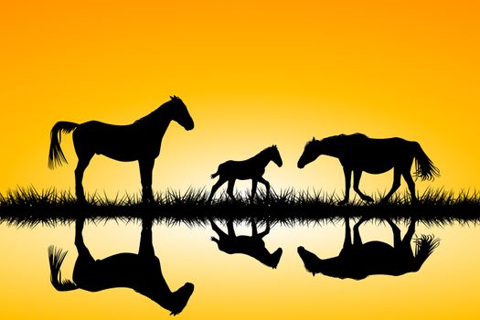 Countryside horses family silhouettes in wild nature landscape