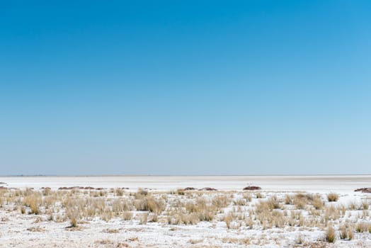 The Etosha pan is a large endorheic salt pan in Northern Namibia, covering approximately 4800 square kilometer