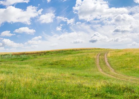 Slope of a hill overgrown with grass and wildflowers with dirt track on the background of wheat field and sky with clouds in summer day
