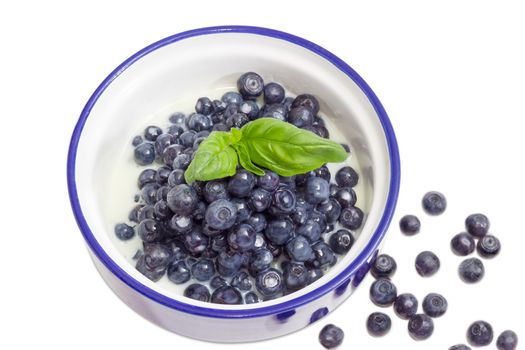 Top view of the blue bowl with dessert made of the fresh blueberries and sweetened condensed milk decorated with basil leaf and separately several berries beside on a white background
