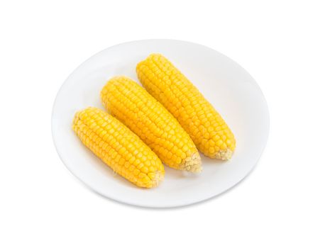 Three boiled whole ears of sweet corn on a white dish on a white background
