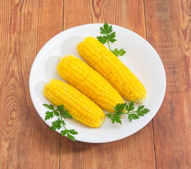 Three boiled whole ears of sweet corn decorated with parsley twigs on a white dish on a old wooden surface
