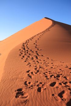 Red dune on the road to Sossusvlei, Namibia