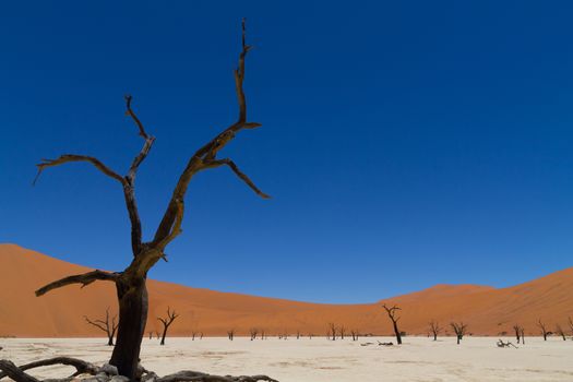 A view from Dead Vlei, Sossusvlei Namibia