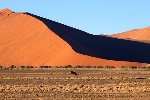 Red dunes on the road to Sossusvlei, Namibia