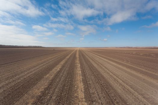 Salt road from Skeleton coast, Namibia