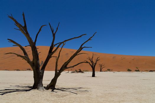 A view from Dead Vlei, Sossusvlei Namibia